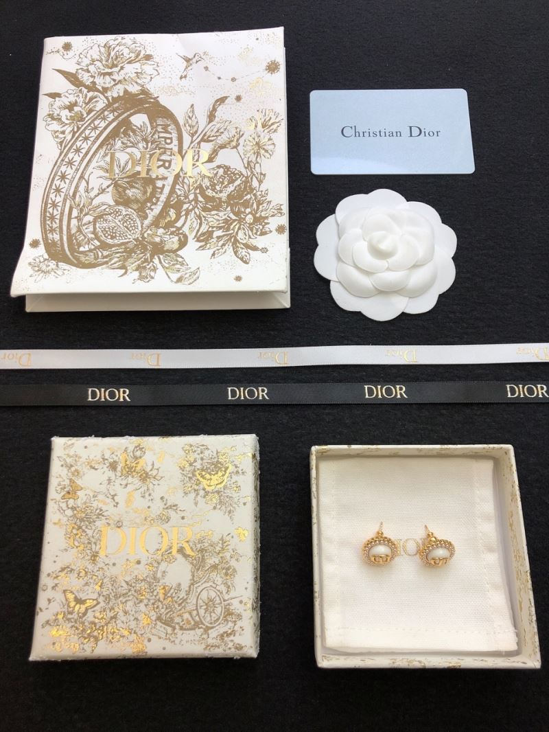 Christian Dior Earrings